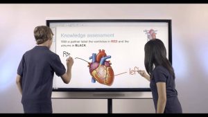 monitor interactivo smart